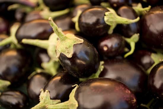 canva eggplant MAED8Q1HrmA