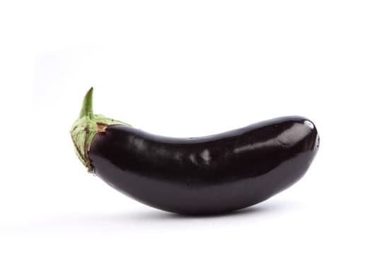 canva eggplant MAEEweI55eI