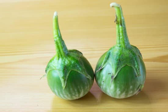 canva eggplant vegetable MADCAvQGFPI