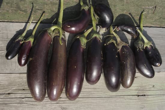 canva eggplant vegetables MADBaLyhK s