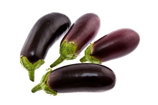 canva eggplants MAC592MztZE