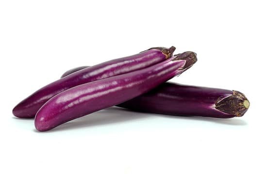 canva eggplants MAC9sBs2rc8