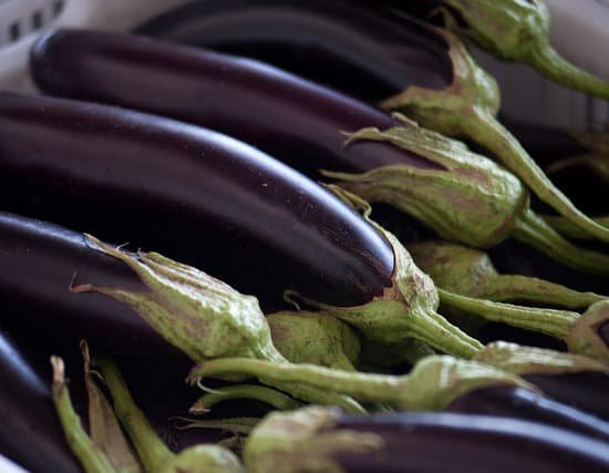 canva eggplants