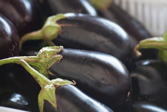 canva eggplants