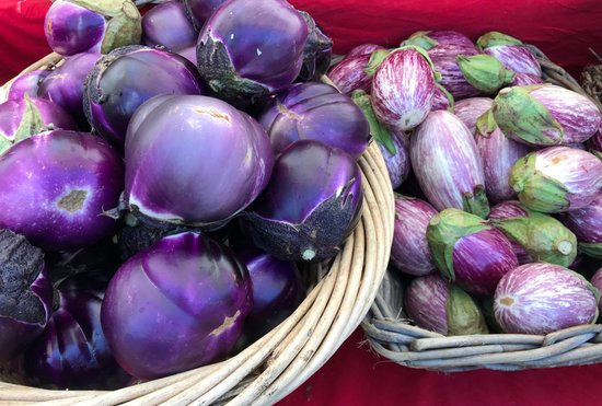 canva eggplants MADF9kwvoXg