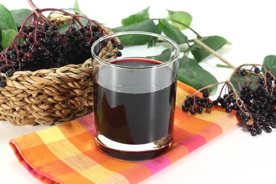 canva elderberry juice MAC8mdv3BQ8