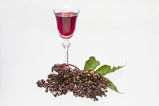 canva elderberry liqueur MADBmWoNOZ8