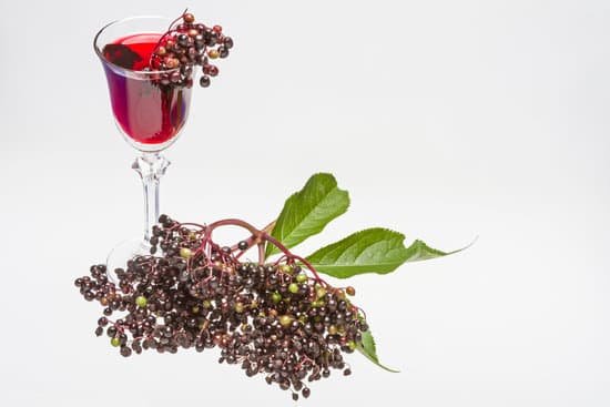 canva elderberry liqueur MADBrcDifqs