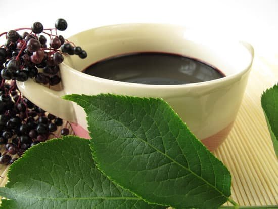 canva elderberry soup MAC TvByNKc