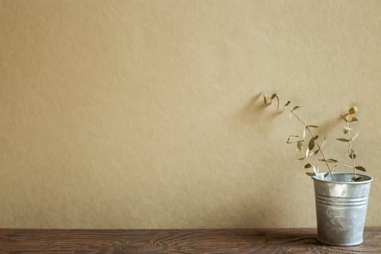 canva eucalyptus leaves in a bucket MAEH2hFzNiI