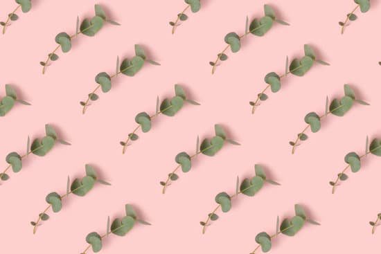 canva eucalyptus leaves on pink background MAEHA42dje4