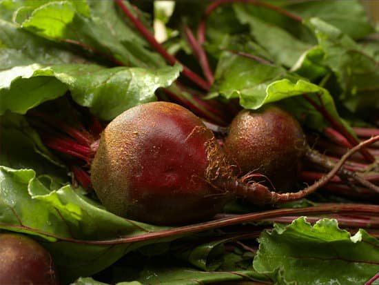 canva farmers market beets MADAsqet8Jw