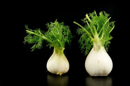 canva fennel MADAGCWydHw