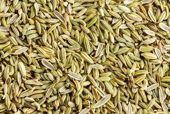 canva fennel MADBAAZWP70