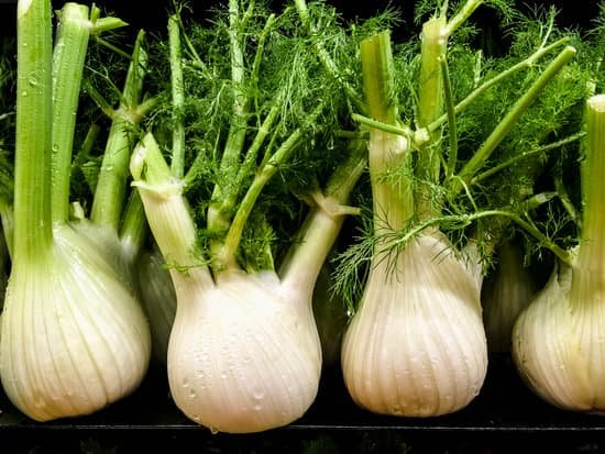 canva fennel MAEEFpeLCvY