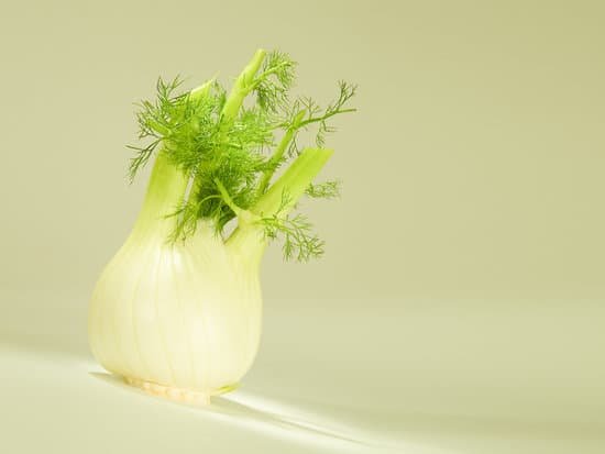 canva fennel MAEEtsuRzgg