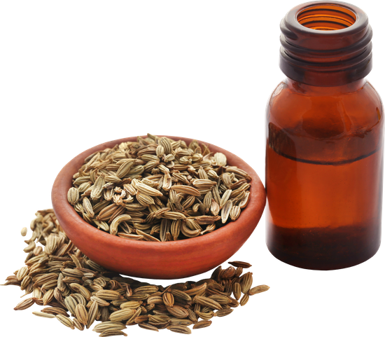 canva fennel seeds with oil extract MAELGi6dTH0