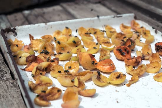 canva flies and bees on homemade dried apricots in summer. a leaf with halves of apricots. MADPFslPXsQ