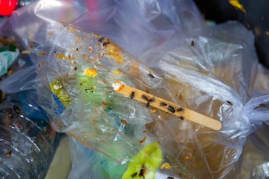canva flies eating food in garbage the concept of contaminated food MADYgeAyliw