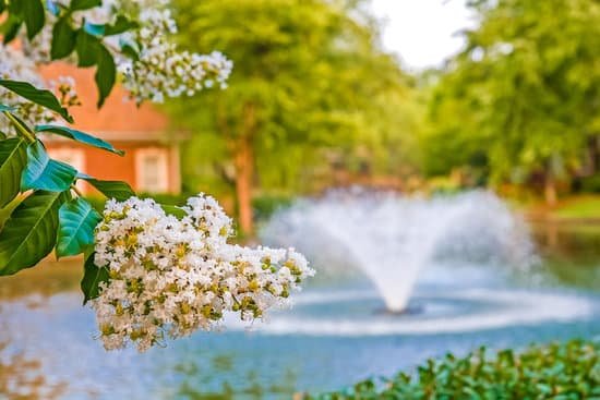 canva fountain past crepe myrtle MAC 1toRGek