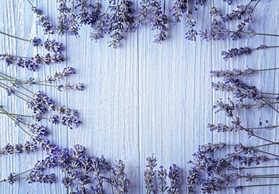 canva frame of lavender flowers on wooden background MAD Q OknLE