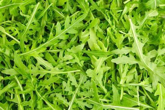 canva fresh arugula background MAEPV7IY6Eo