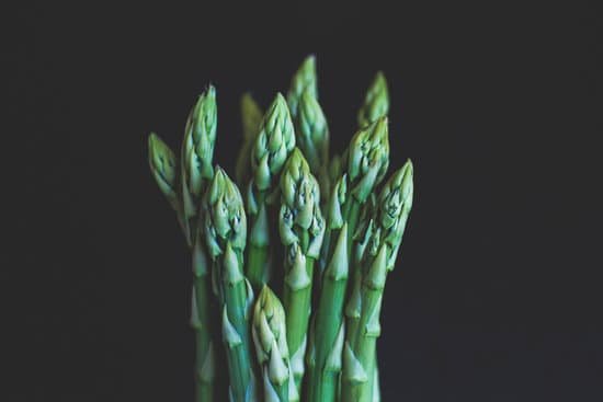 canva fresh asparagus in black background close up MAD9iIF0fck