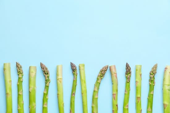 canva fresh asparagus on blue background flatlay MAD8y60 GWo