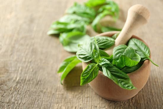canva fresh basil in a mortar and pestle MAD9Tw9Ao8M