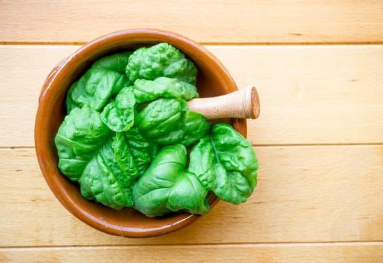 canva fresh basil in a mortar and pestle MAEKp0H 2ME