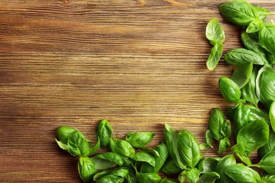 canva fresh basil leaves on wooden background MAD QkmBz00