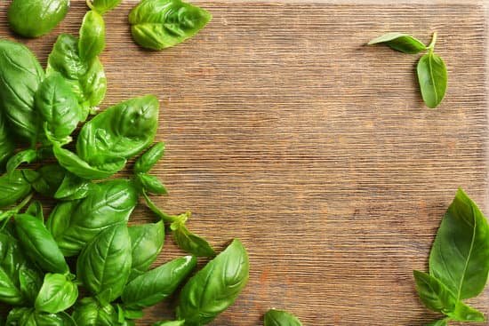 canva fresh basil leaves on wooden board MAD QhF7VeE