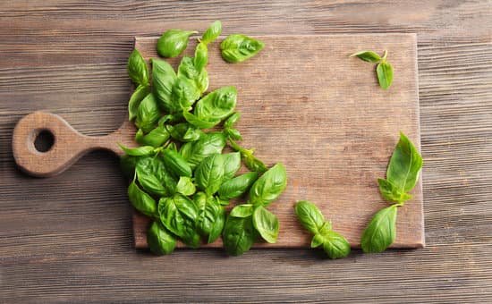 canva fresh basil leaves on wooden board MAD QvYQ5TY