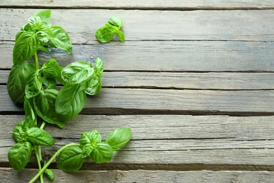 canva fresh basil on wooden background MAD MQ07R o