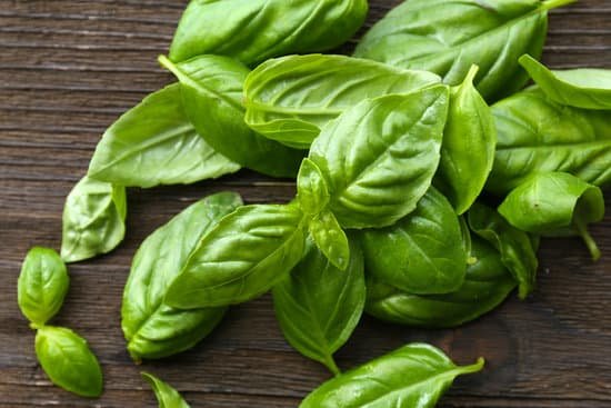 canva fresh basil on wooden background MAD MWLge7s