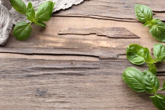 canva fresh basil on wooden background MAD