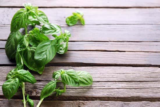 canva fresh basil on wooden background MAD Mb6k8 Y