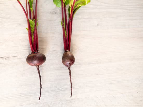 canva fresh beautiful washed beets on a light background MAEO0rz4KZo