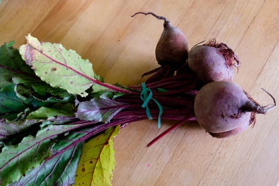 canva fresh beets