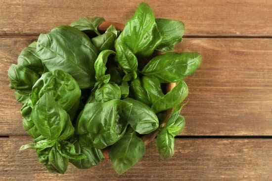 canva fresh bunch of basil on wooden table MAD QykhdtY