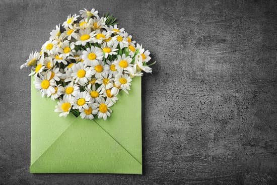 canva fresh chamomile in green envelope on grey background MAD QyUJKBA