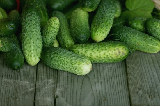 canva fresh crop of cucumbers MAC1r34CgrI
