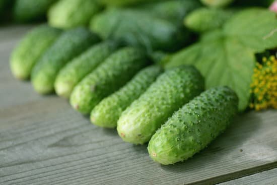 canva fresh crop of cucumbers MAC1r8eY9A8