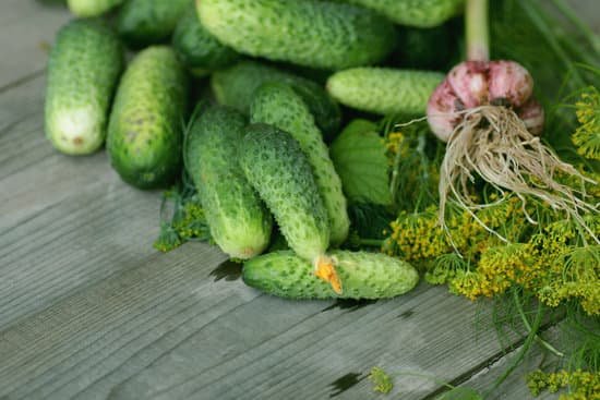 canva fresh crop of cucumbers MAC1sAOB294