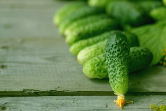 canva fresh crop of cucumbers MAC1sMEORIA