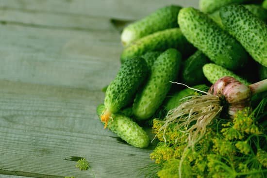 canva fresh crop of cucumbers MACvdkYQis0