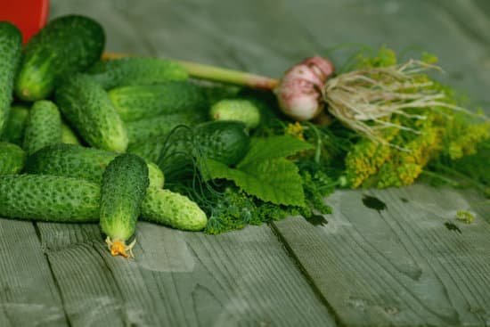 canva fresh crop of cucumbers MACvdlfwsKU