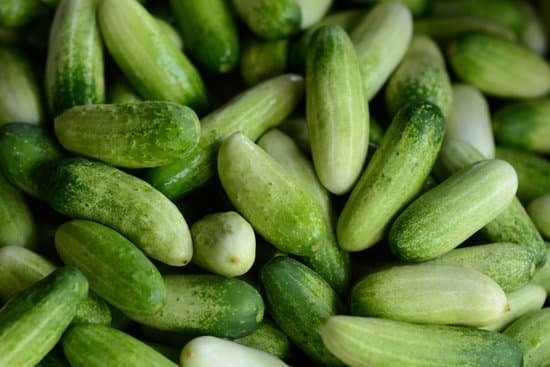 canva fresh cucumber MAC 4F3gycs