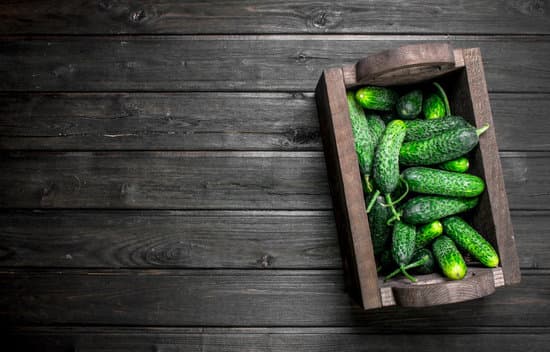 canva fresh cucumbers in the box MAEPkWBb174