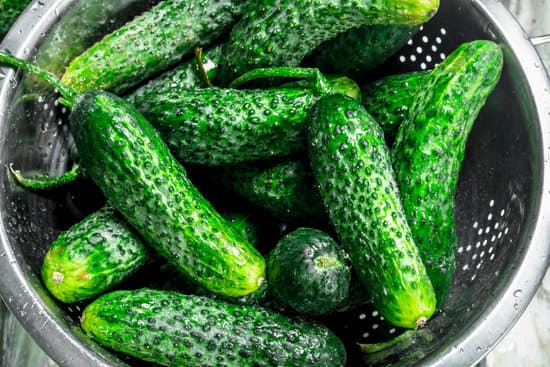 canva fresh cucumbers in the colander MAEP 5mSSmM